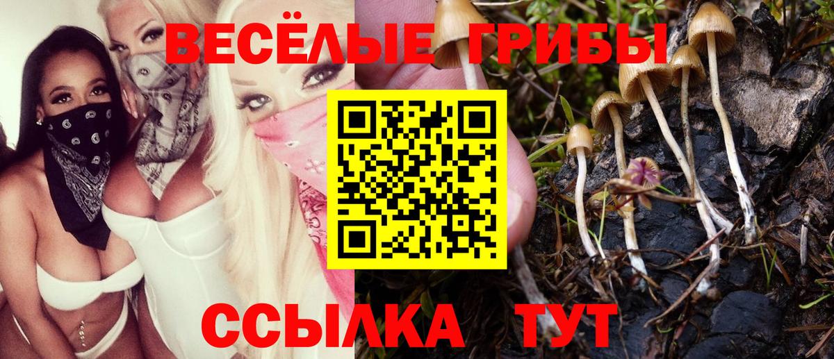 Псилоцибиновые грибы мицелий Конаково